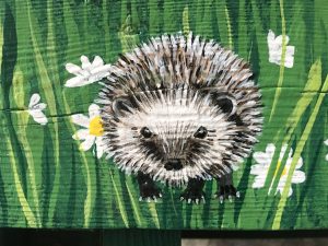 Wiese-Liege Igel