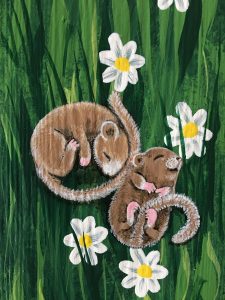 Wiese-Liege Haselmäuse