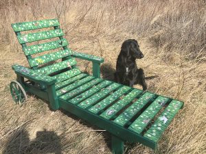 Wiese-Liege mit Hund